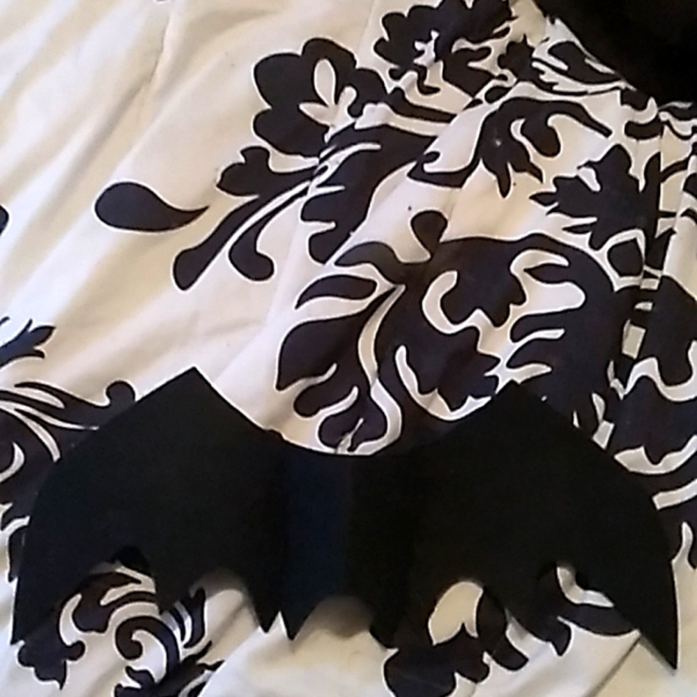 Halloween Bat Costume For Animals